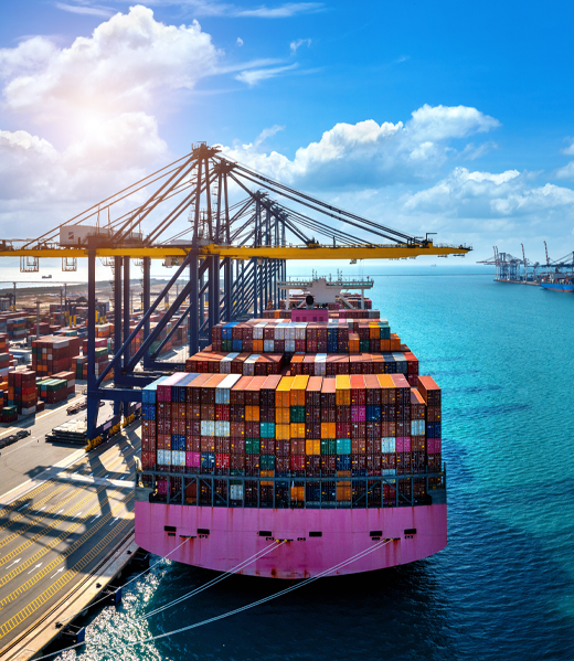 Transporte y Aduana Sinar